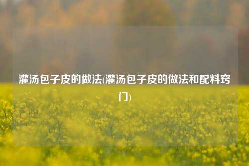 灌汤包子皮的做法(灌汤包子皮的做法和配料窍门)