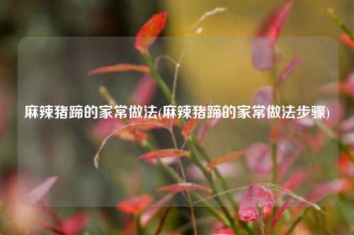 麻辣猪蹄的家常做法(麻辣猪蹄的家常做法步骤)