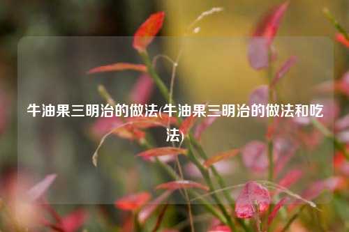 牛油果三明治的做法(牛油果三明治的做法和吃法)