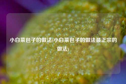 小白菜包子的做法(小白菜包子的做法最正宗的做法)