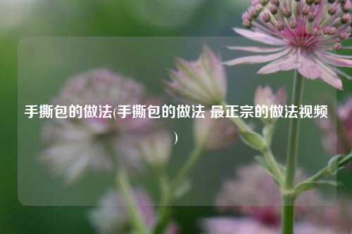 手撕包的做法(手撕包的做法 最正宗的做法视频)
