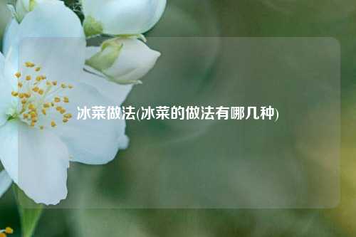 冰菜做法(冰菜的做法有哪几种)