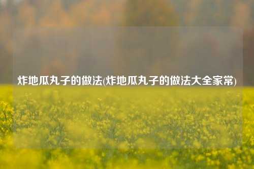 炸地瓜丸子的做法(炸地瓜丸子的做法大全家常)