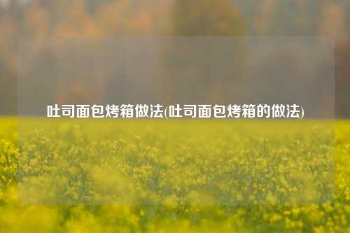 吐司面包烤箱做法(吐司面包烤箱的做法)