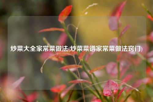 炒菜大全家常菜做法(炒菜菜谱家常菜做法窍门)