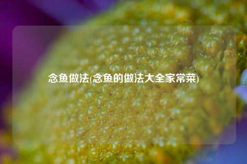 念鱼做法(念鱼的做法大全家常菜)
