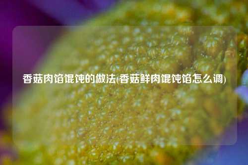 香菇肉馅馄饨的做法(香菇鲜肉馄饨馅怎么调)