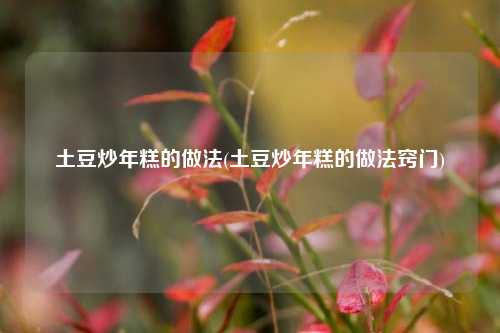 土豆炒年糕的做法(土豆炒年糕的做法窍门)