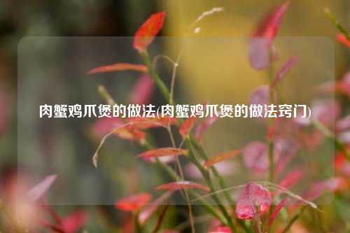 肉蟹鸡爪煲的做法(肉蟹鸡爪煲的做法窍门)