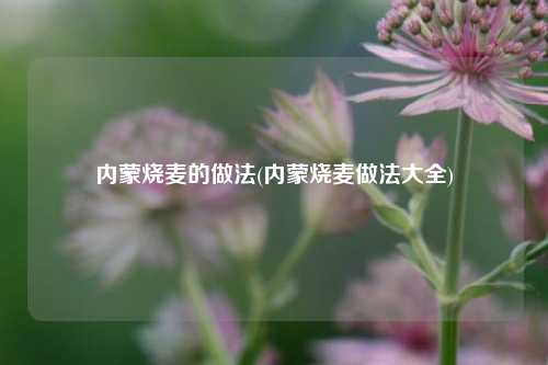 内蒙烧麦的做法(内蒙烧麦做法大全)