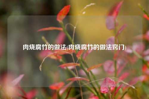 肉烧腐竹的做法(肉烧腐竹的做法窍门)