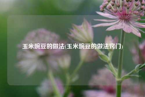 玉米豌豆的做法(玉米豌豆的做法窍门)