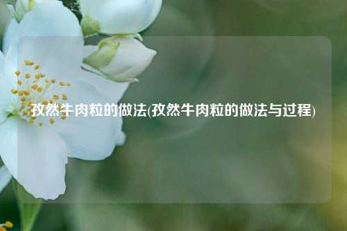 孜然牛肉粒的做法(孜然牛肉粒的做法与过程)